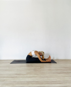 Supported seated forward fold yoga